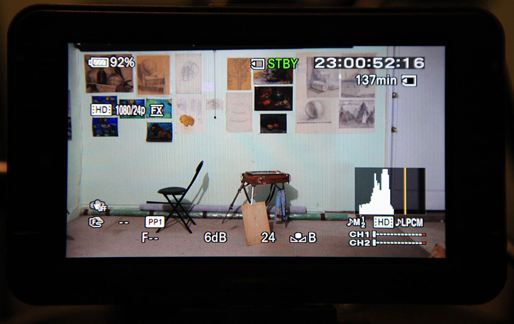 Sony_FS100-LCD_Markers_1.jpg